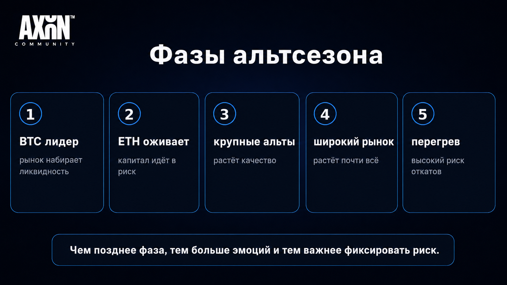 Фазы альтсезона: от BTC-лидерства до перегрева